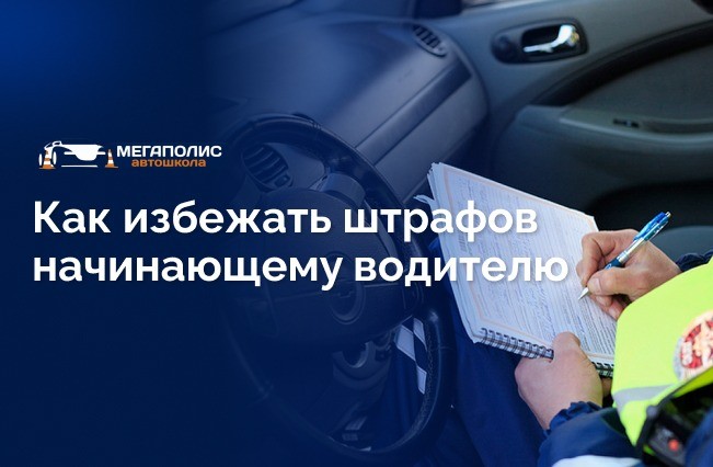 Как избежать штрафов на первых этапах вождения: советы начинающим водителям